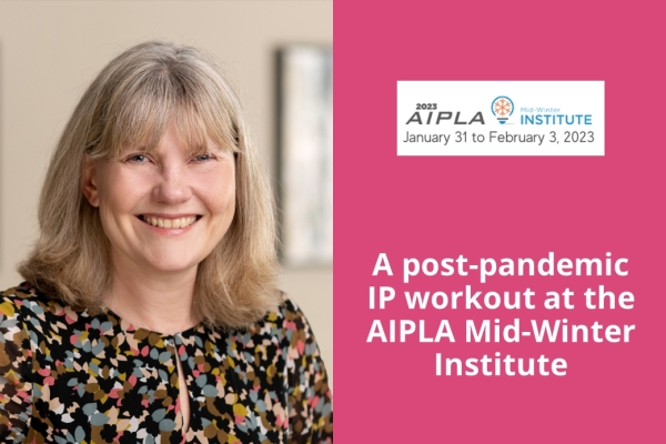 Kelda Style to attend AIPLA Mid-Winter Institute in San Diego
