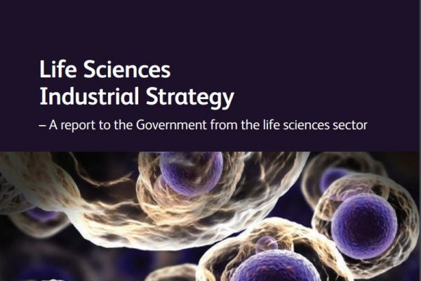 Life Sciences Industrial Strategy by Sir John Bell, a report to the government from the life sciences sector