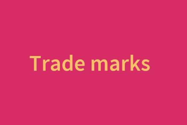 immoral or offensive brands can be trade marks?