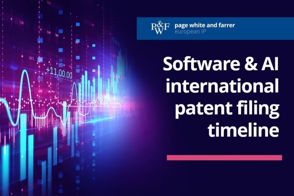 Infographic: International patent filing timeline for software or AI